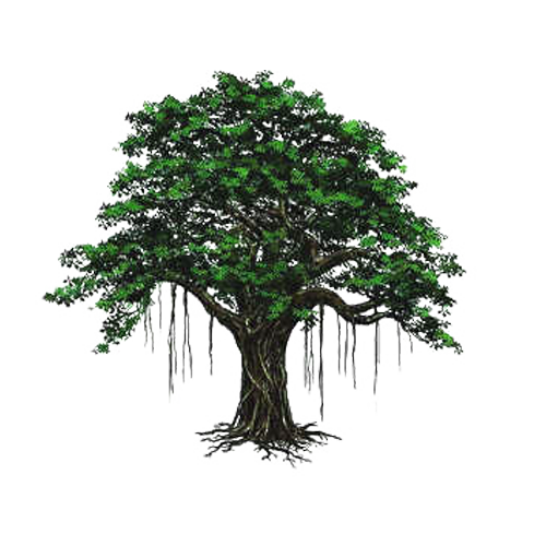 Woody Background Clipart