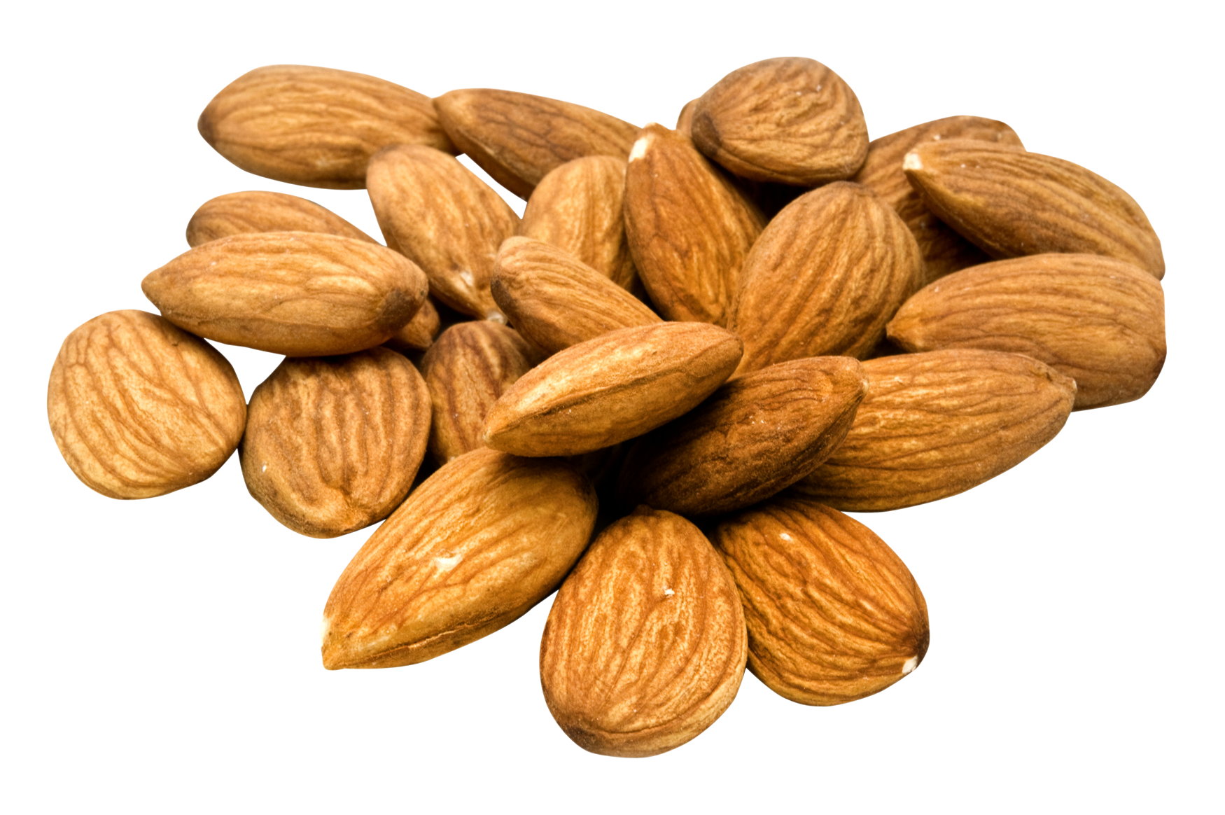 Almond Commodity Clipart