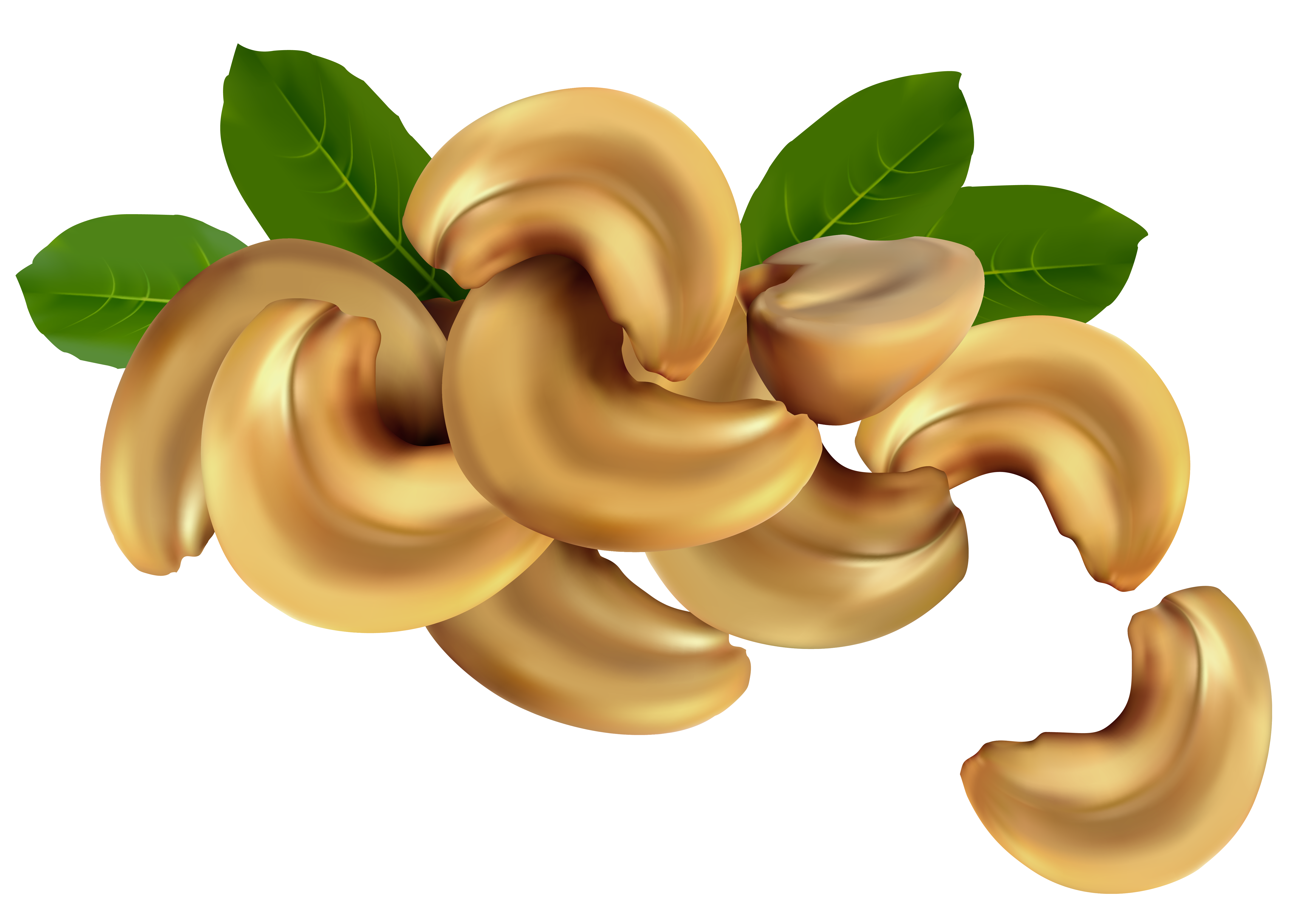 Mushroom Cartoon Clipart