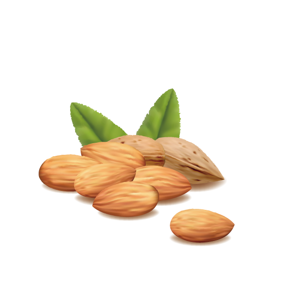 Food Cartoon Clipart