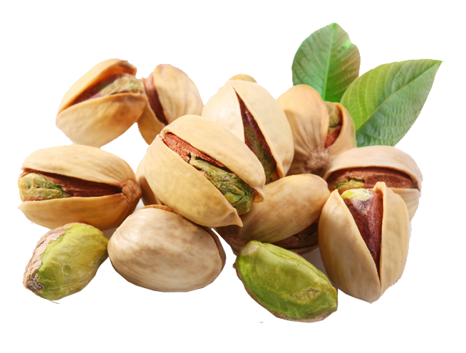 Cashew Tree Clipart