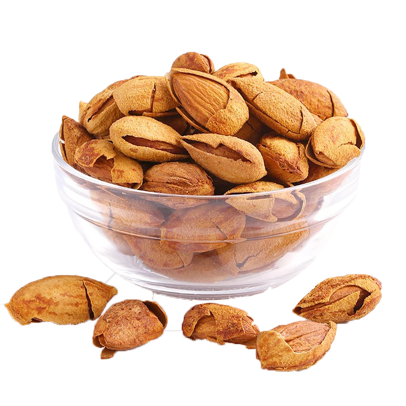 Walnut Tree Clipart