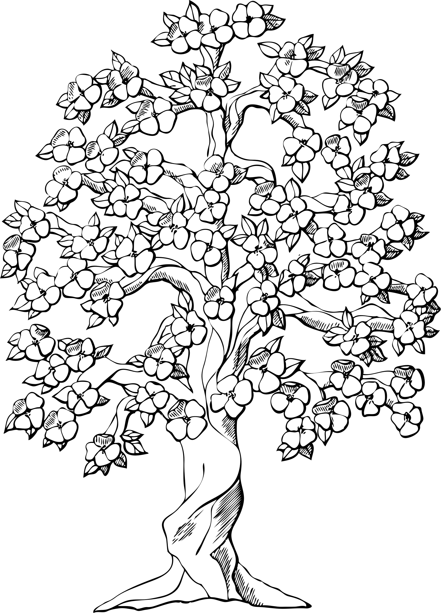 School Black And White Clipart