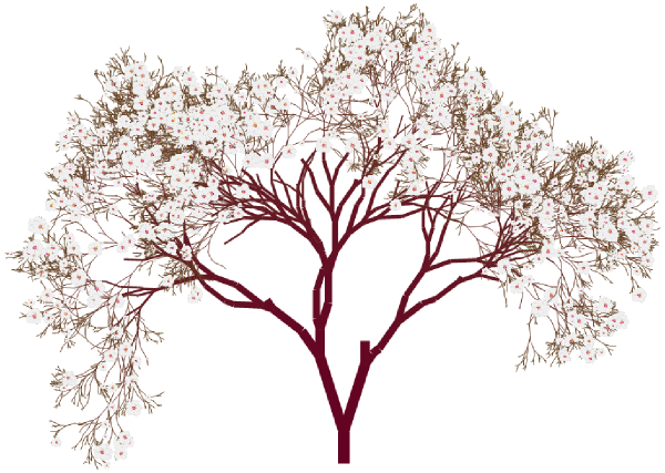 Cherry Blossom Tree Clipart