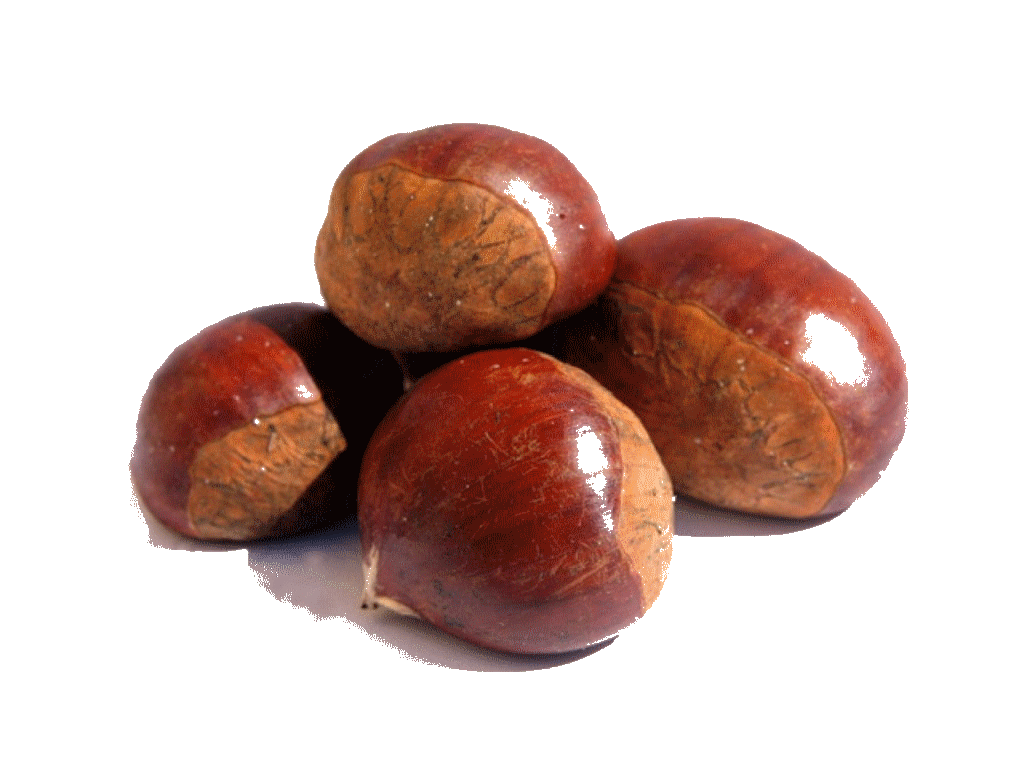 Mushroom Cartoon Clipart