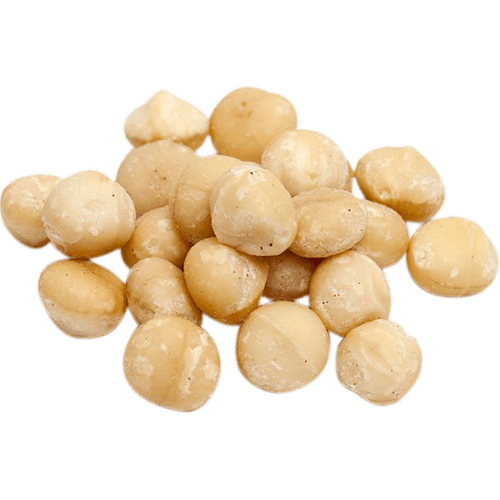 Cashew Tree Clipart