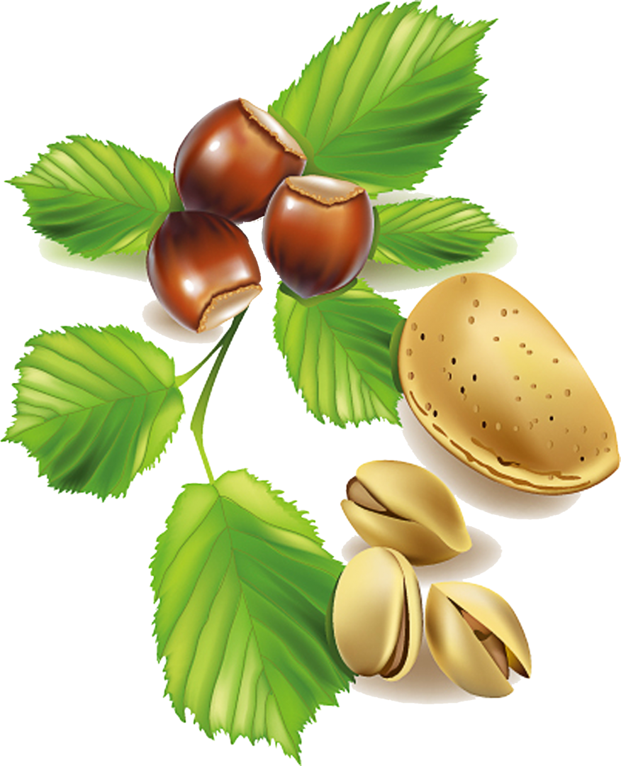 Fruit Tree Clipart