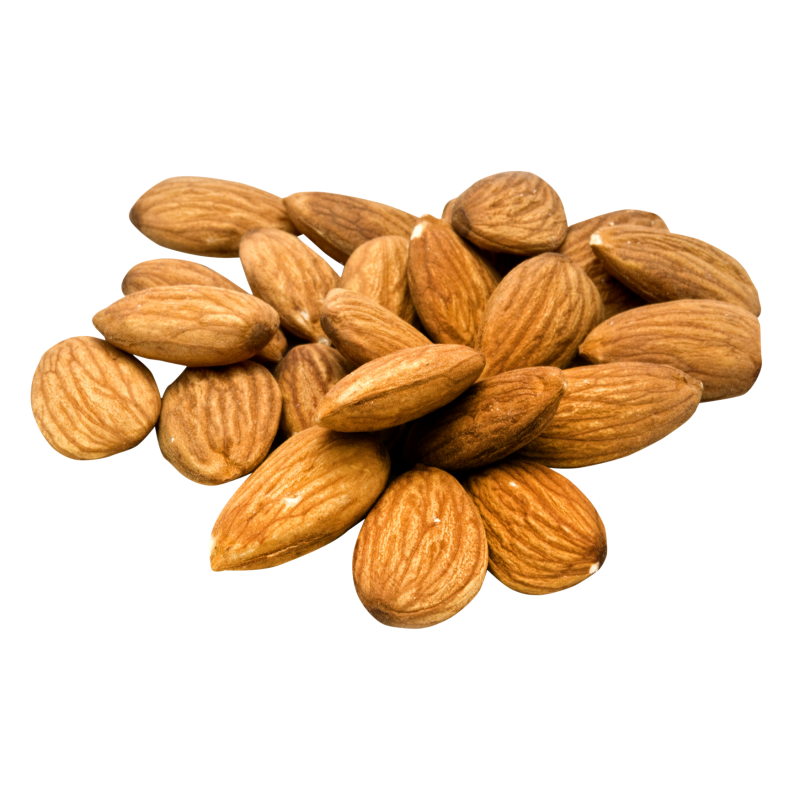 almond nut food nuts & seeds apricot kernel Clipart