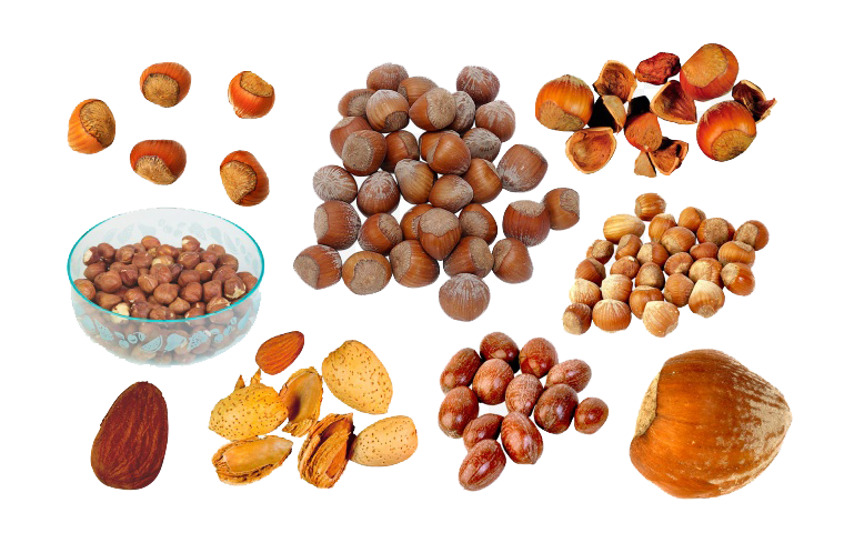 Fruit Cartoon Clipart