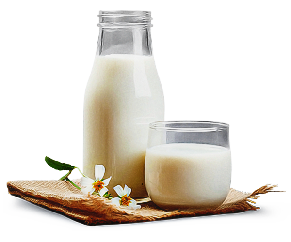food milk lactose dairy raw milk Clipart