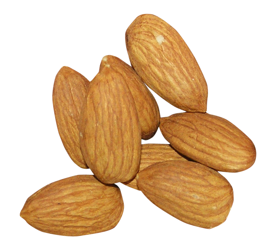 Nut Commodity Clipart