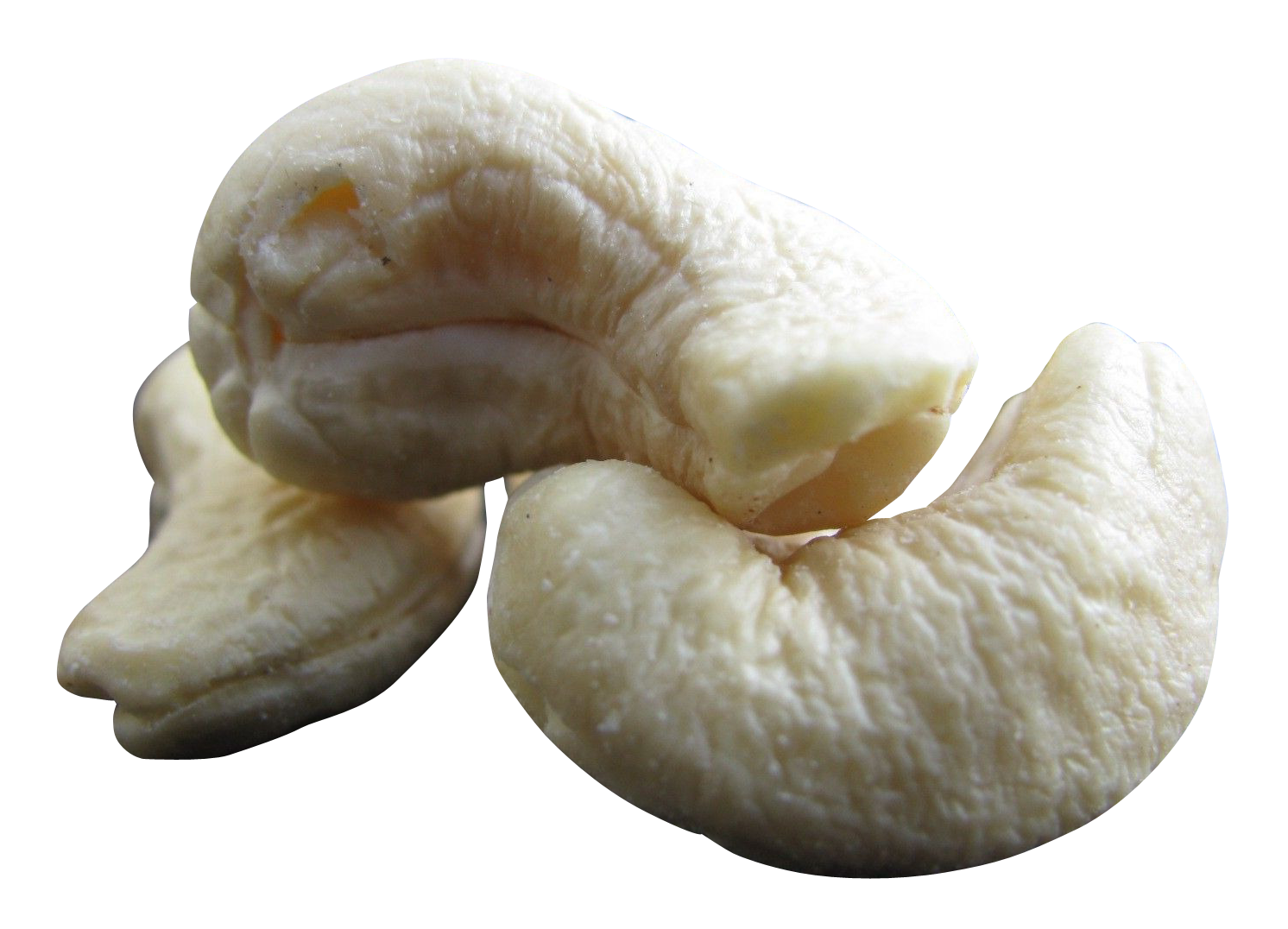 Mushroom Cartoon Clipart