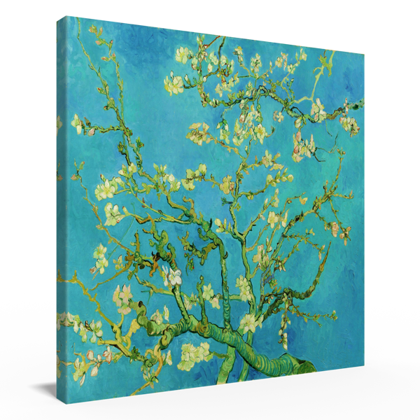 Blossom Background Clipart