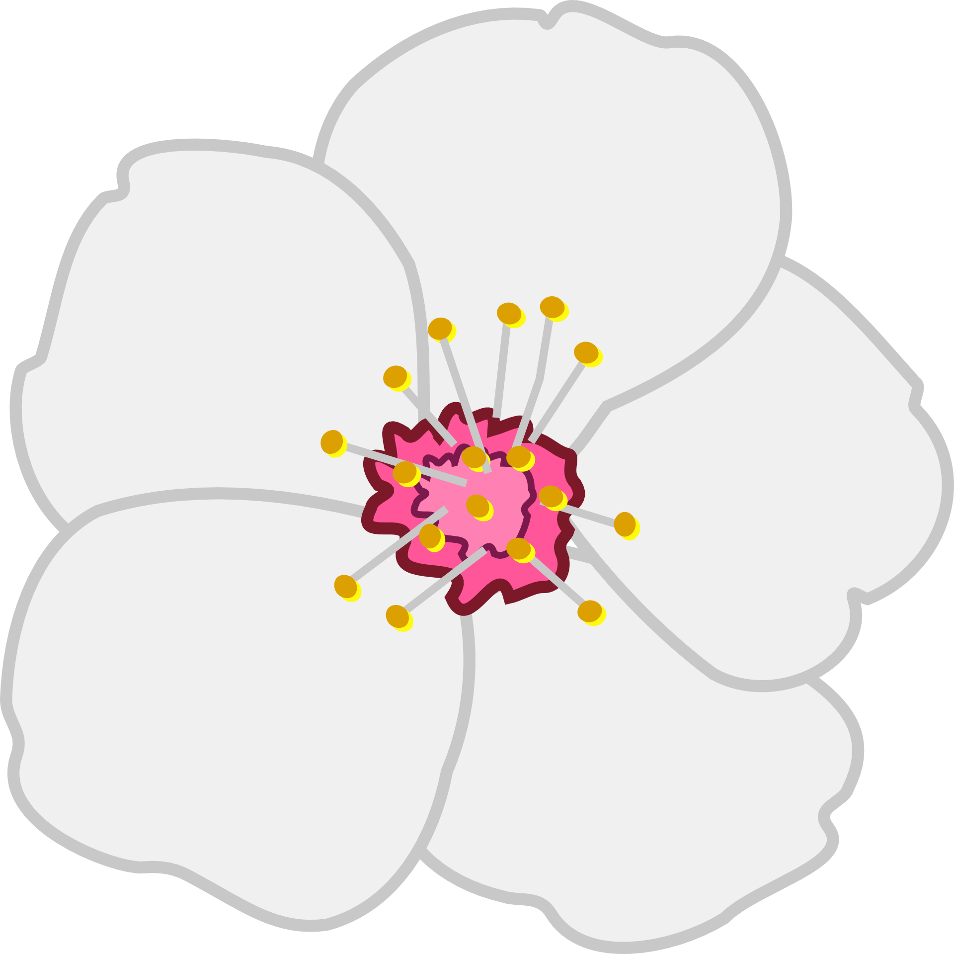 Cherry Blossom Tree Drawing Clipart