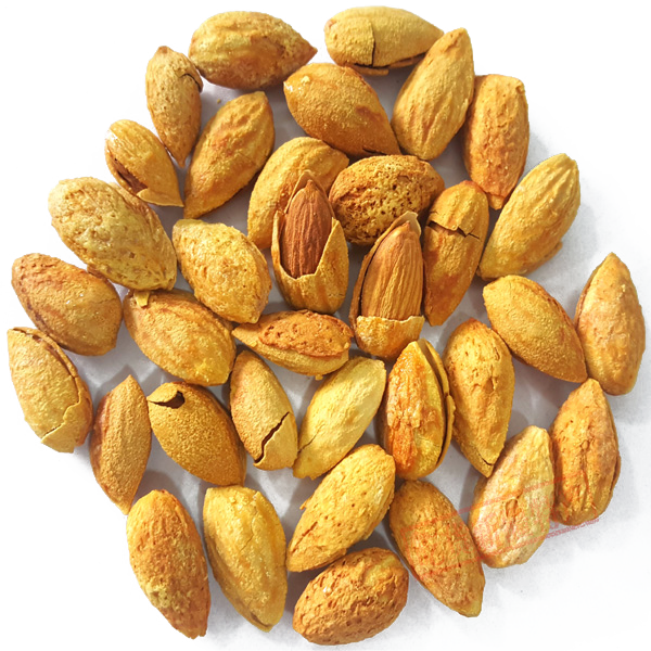 Walnut Tree Clipart