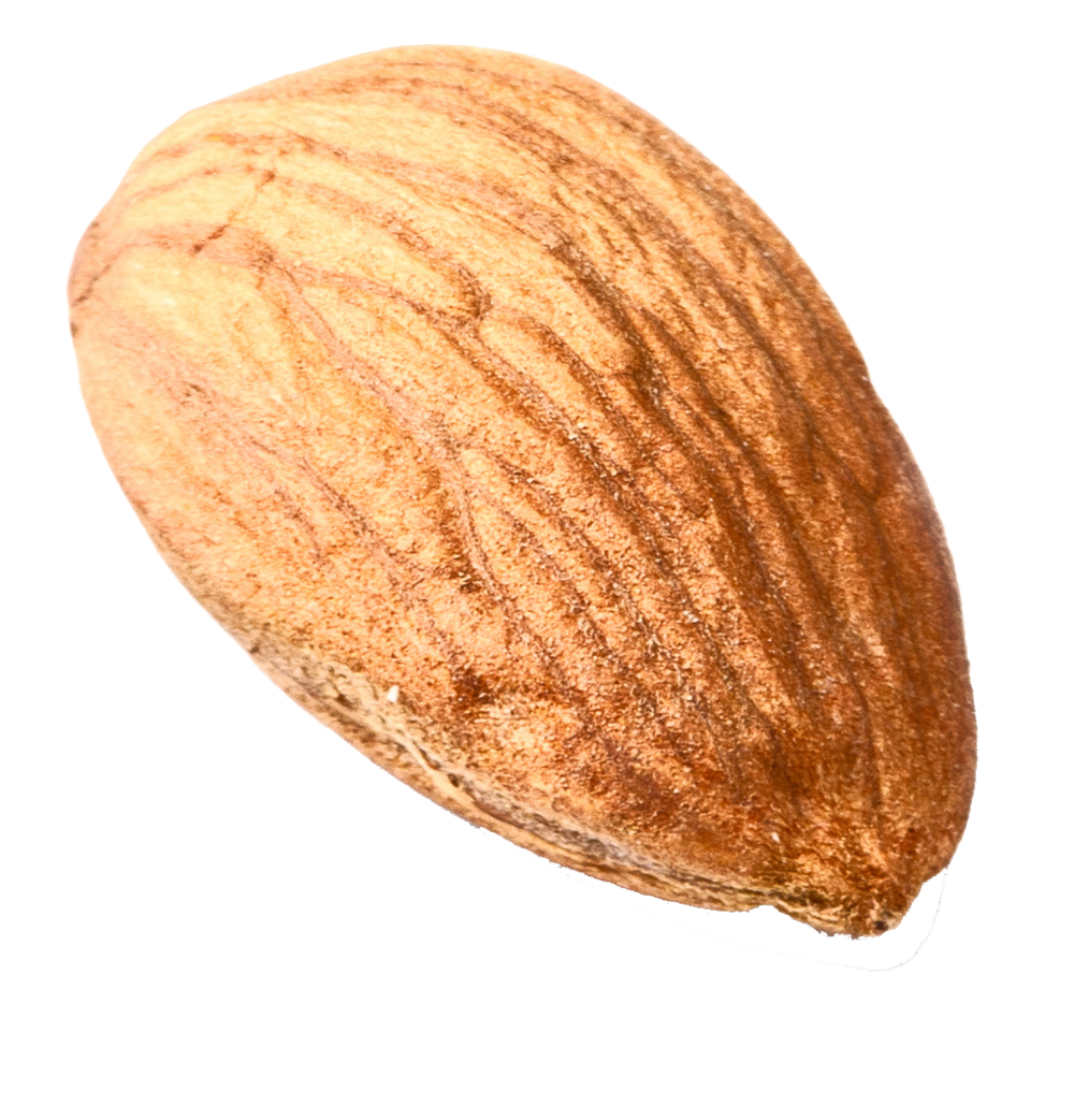Fruit Cartoon Clipart