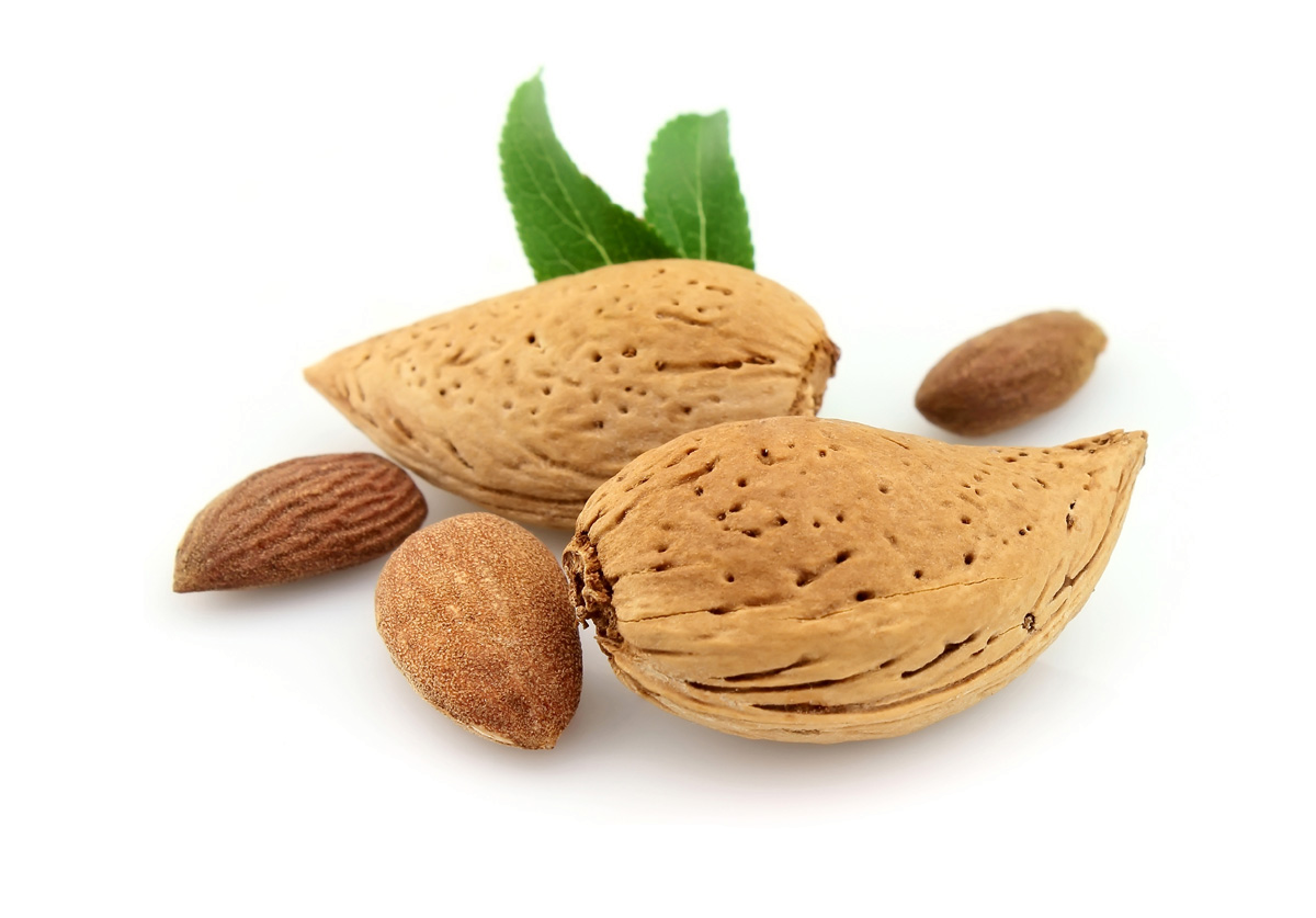 Fruit Cartoon Clipart