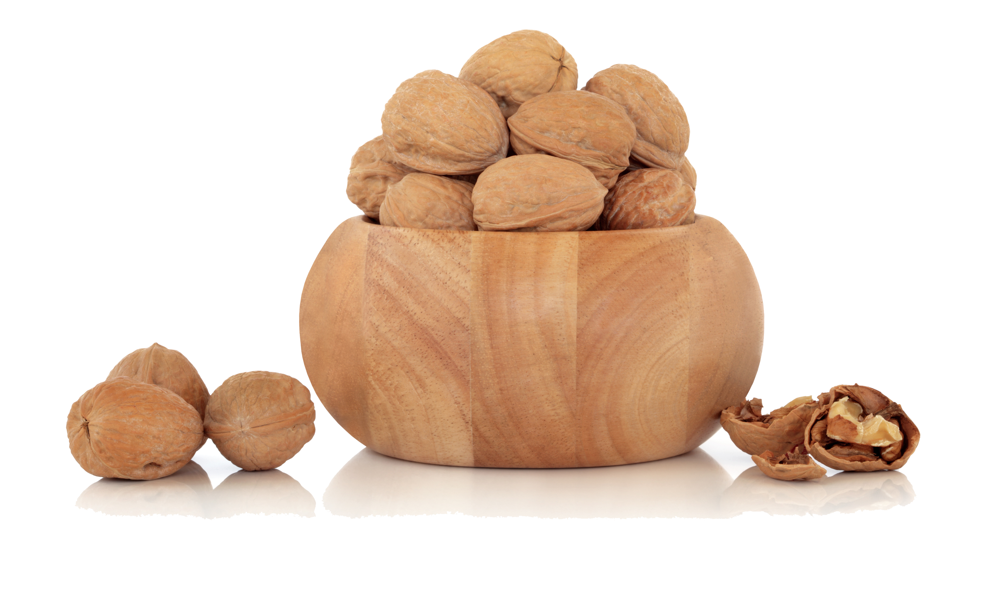 Walnut Tree Clipart