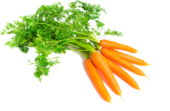 Carrot Cartoon Clipart