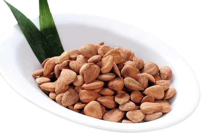 Nut Superfood Clipart