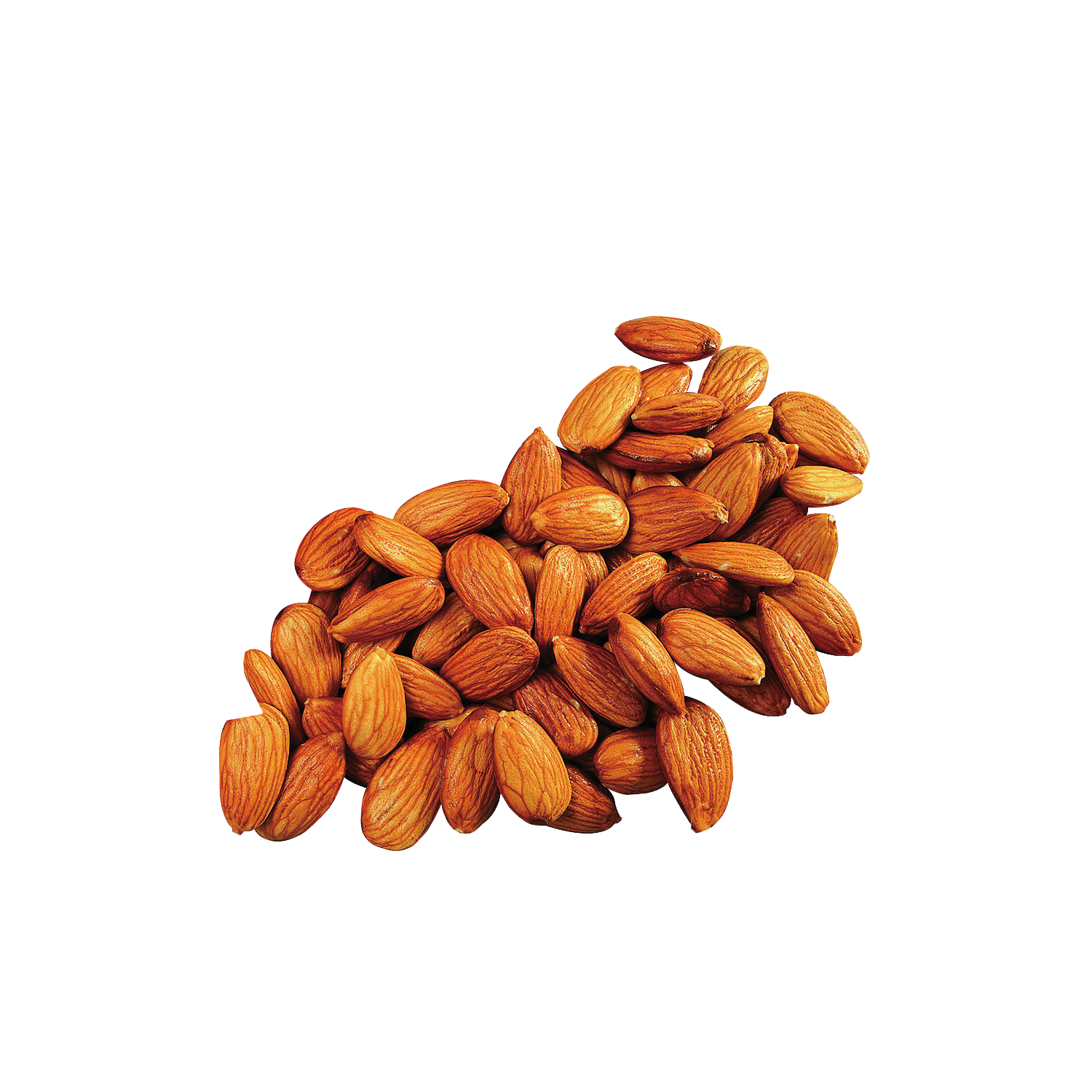 almond food ingredient plant apricot kernel Clipart