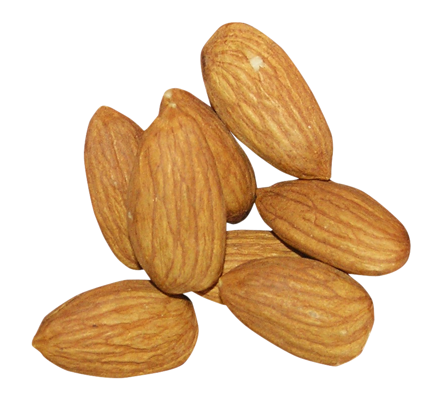 almond nut food nuts & seeds plant Clipart