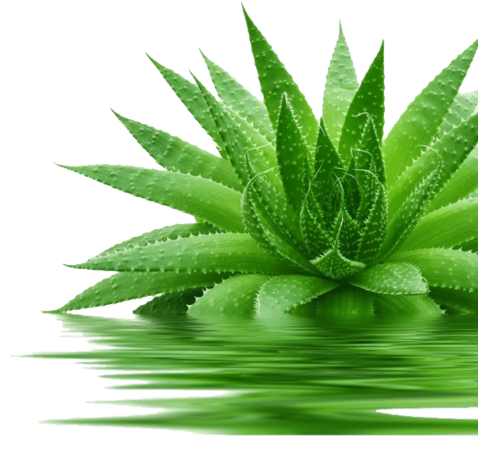 Medicine Cartoon Clipart