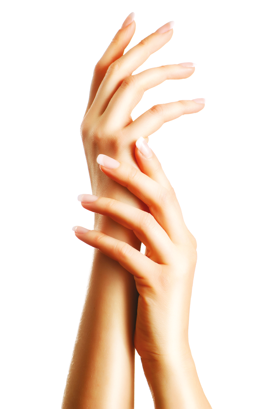 Aloe Vera Clipart