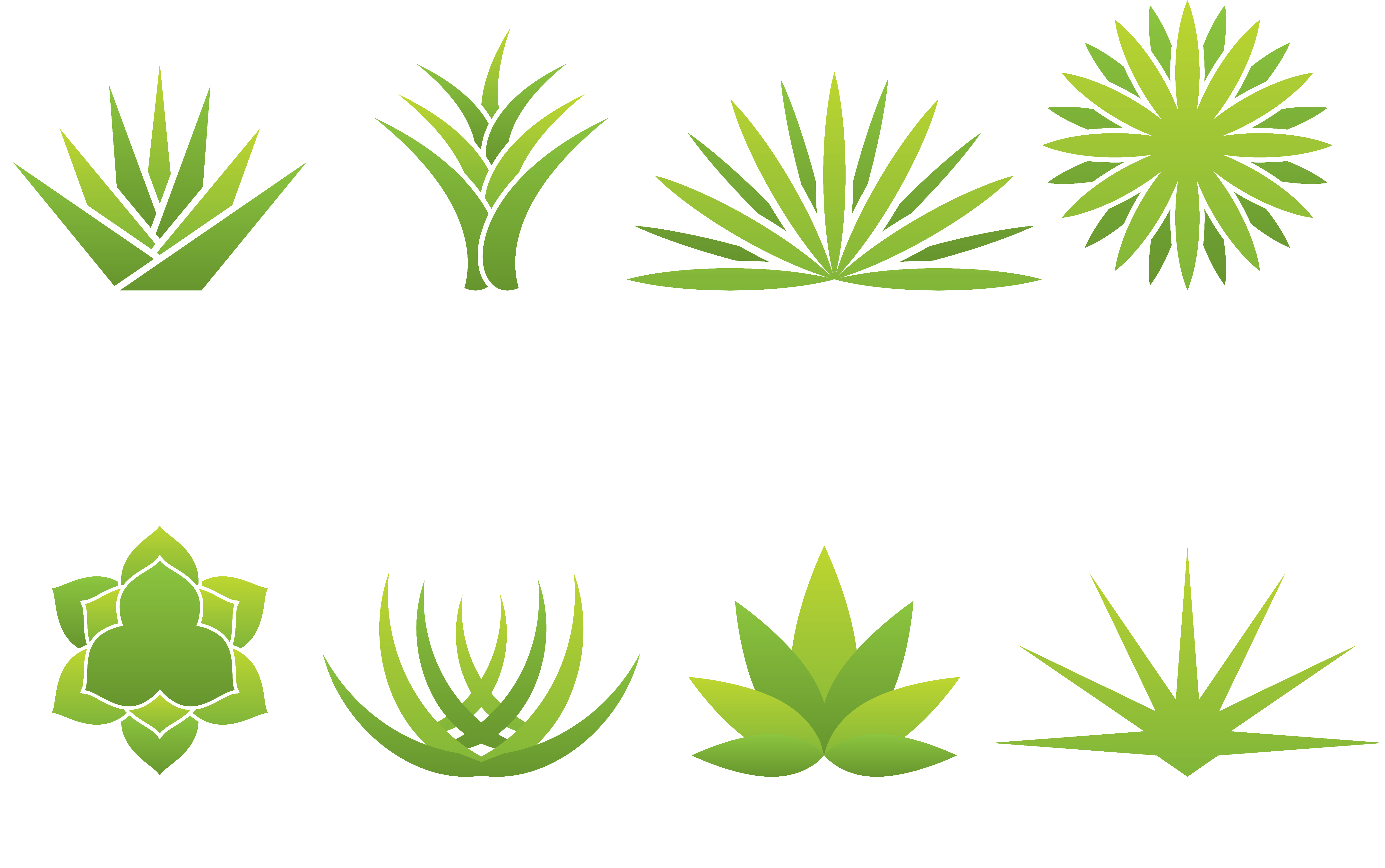 Aloe Vera Leaf Clipart