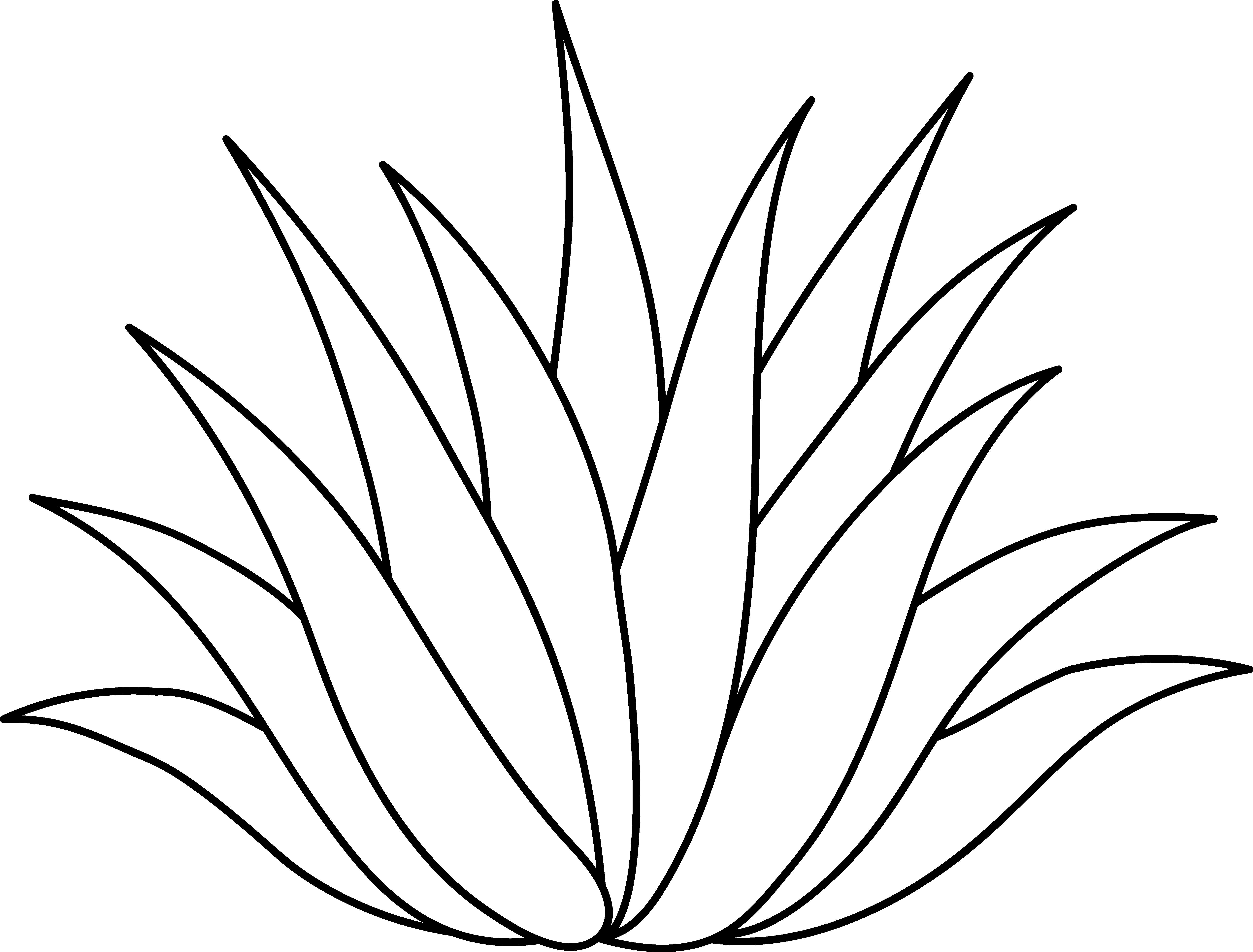 Black And White Flower Clipart