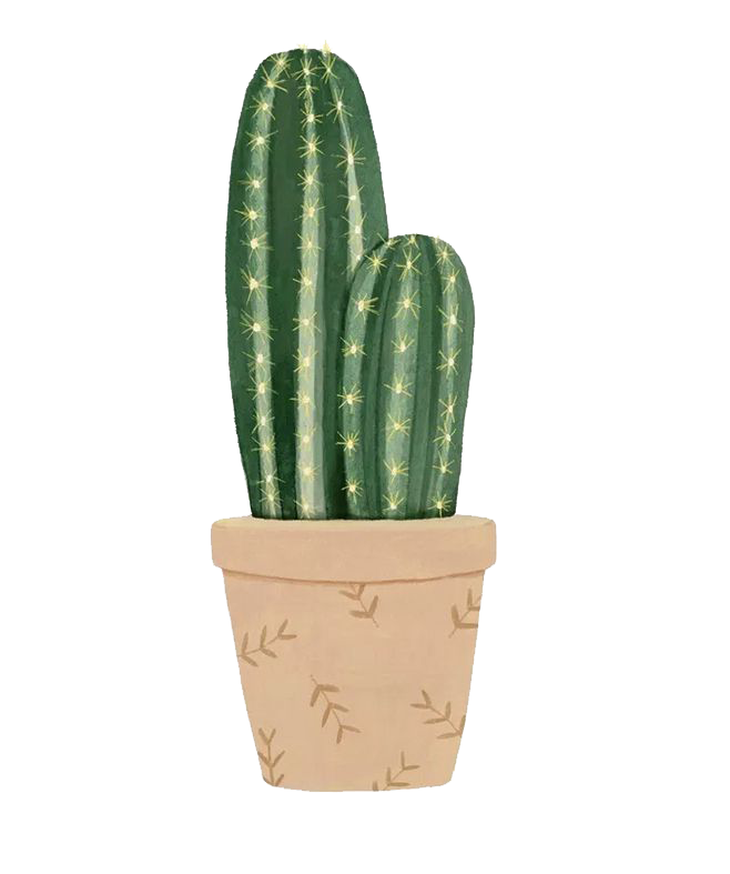 Aloe Vera Clipart