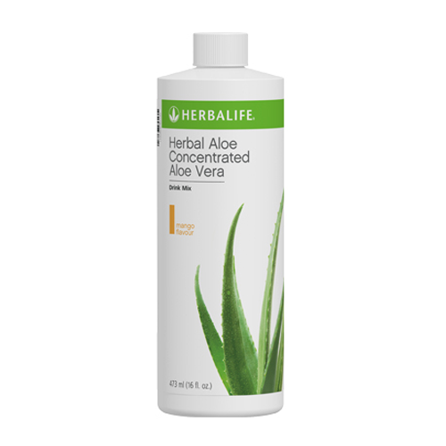 Aloe Vera Clipart