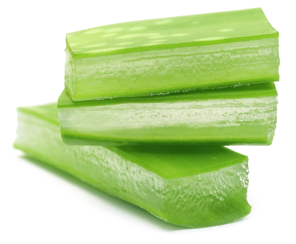 Aloe Vera Clipart