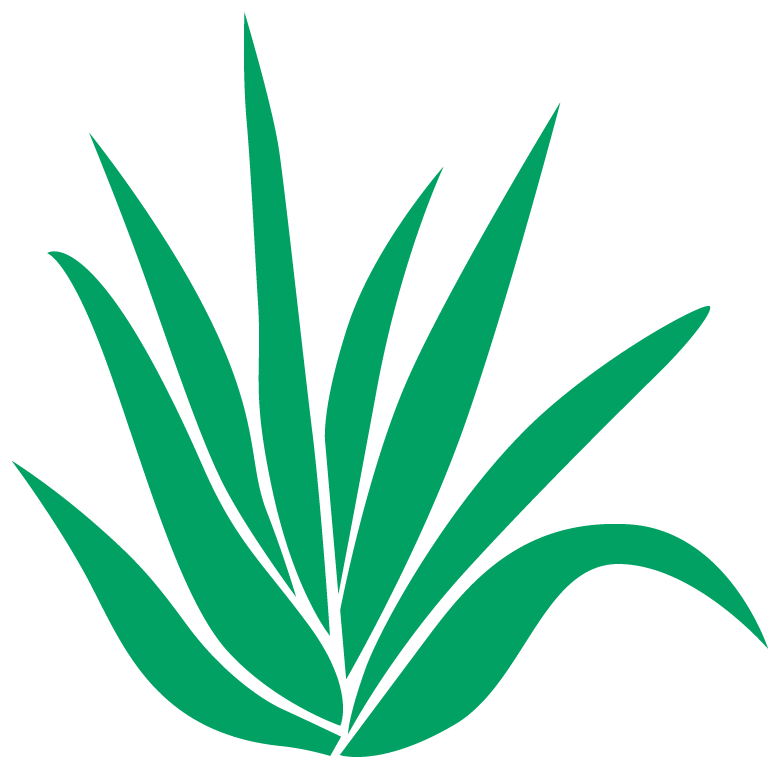 Aloe Vera Leaf Clipart