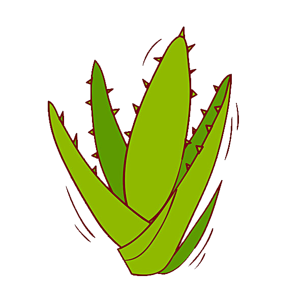 Aloe Vera Leaf Clipart