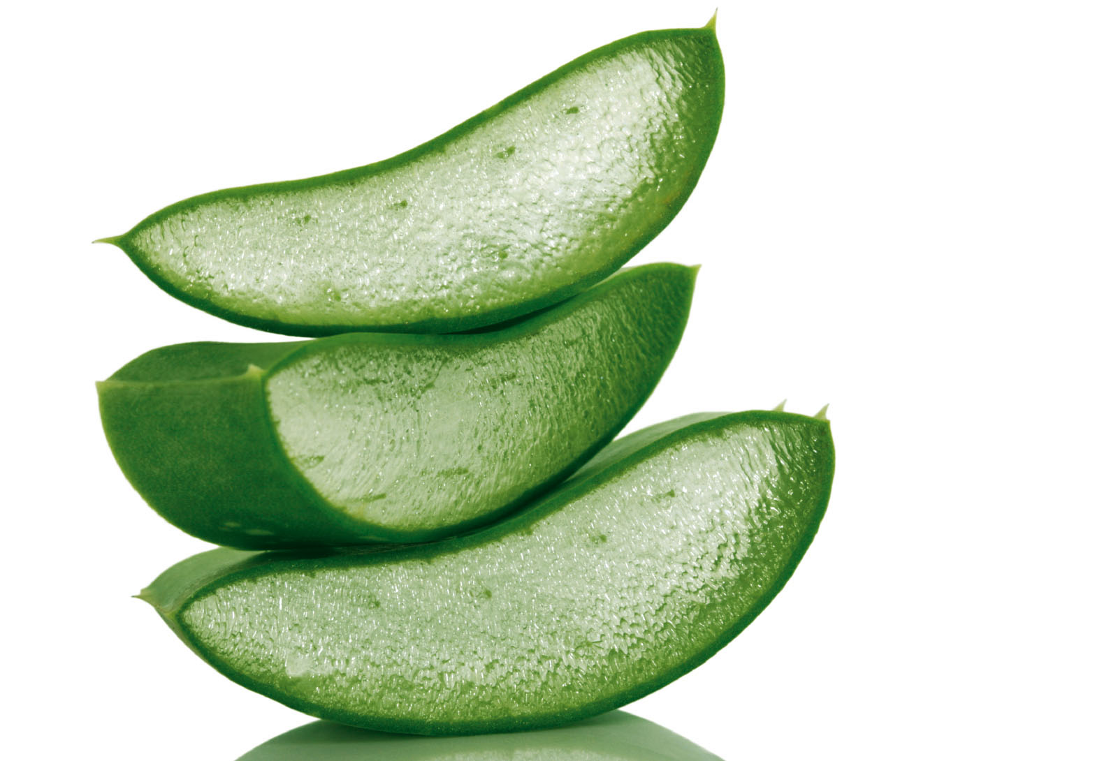 Aloe Vera Clipart