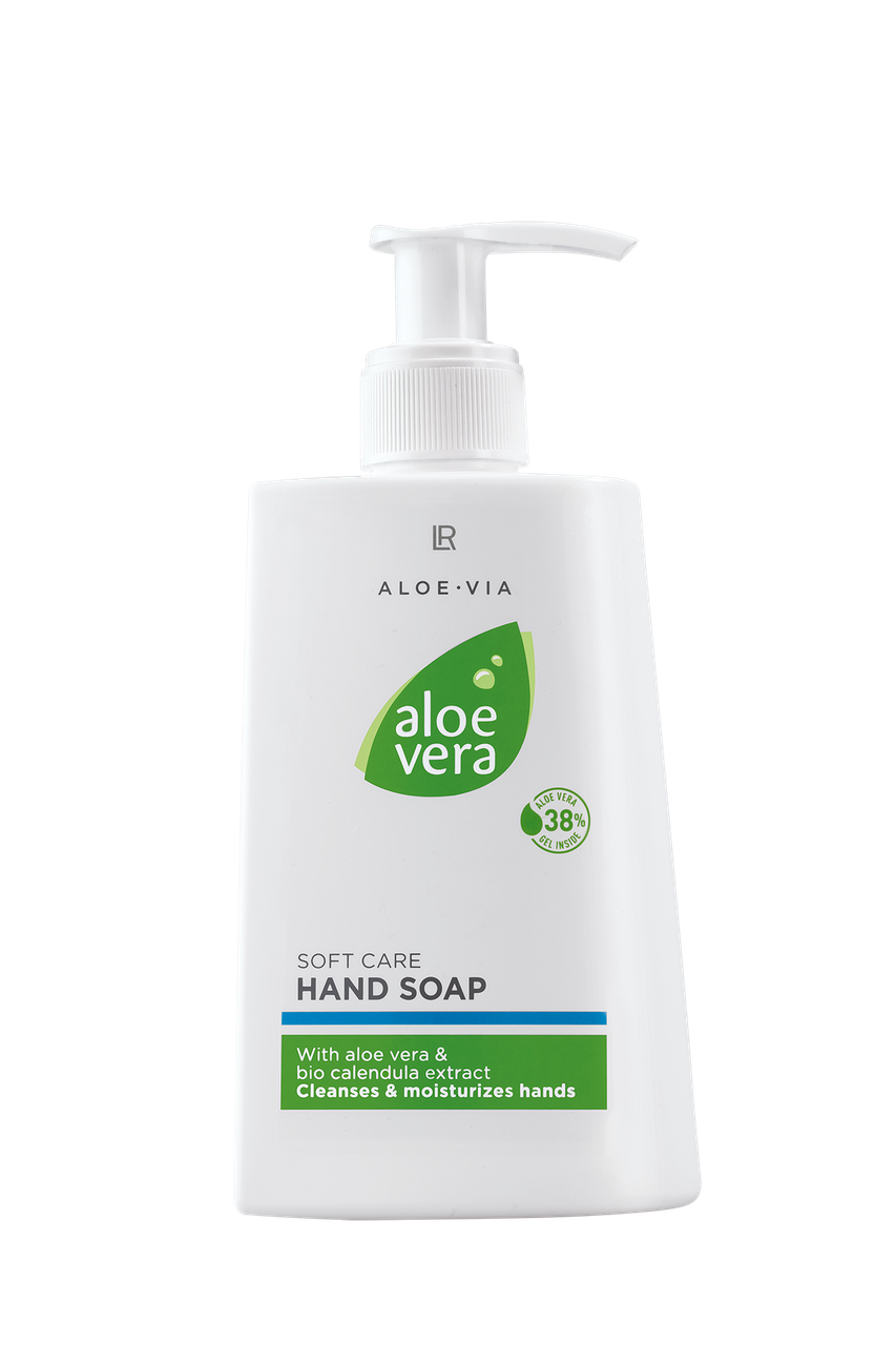 Aloe Vera Clipart