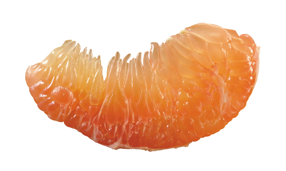 Fruit Juice Clipart