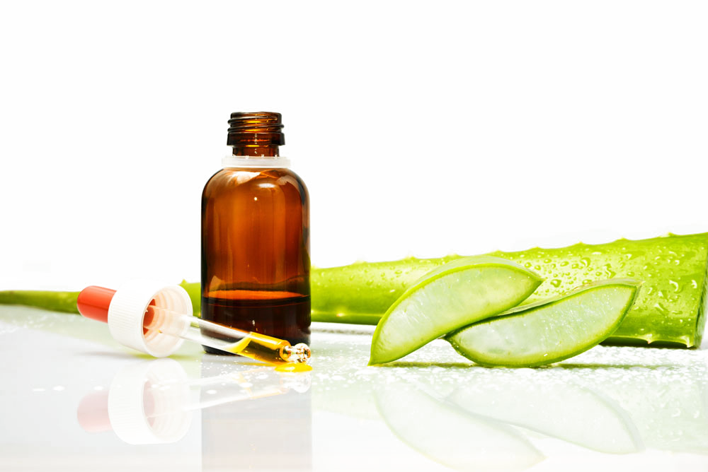 Aloe Vera Clipart