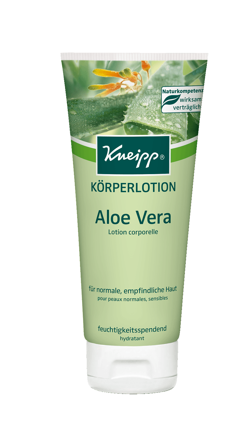 Aloe Vera Clipart