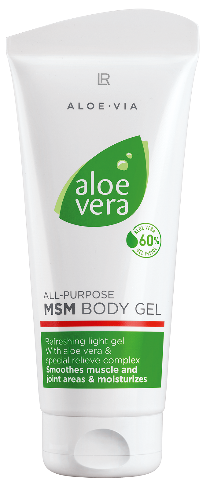 Aloe Vera Clipart