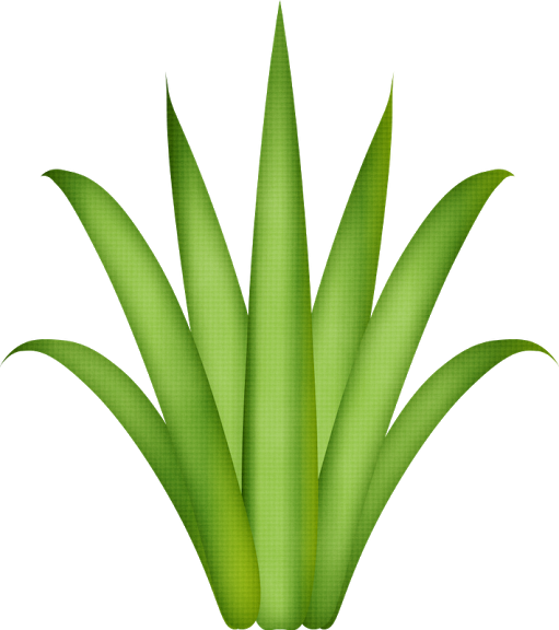 Grass Background Clipart