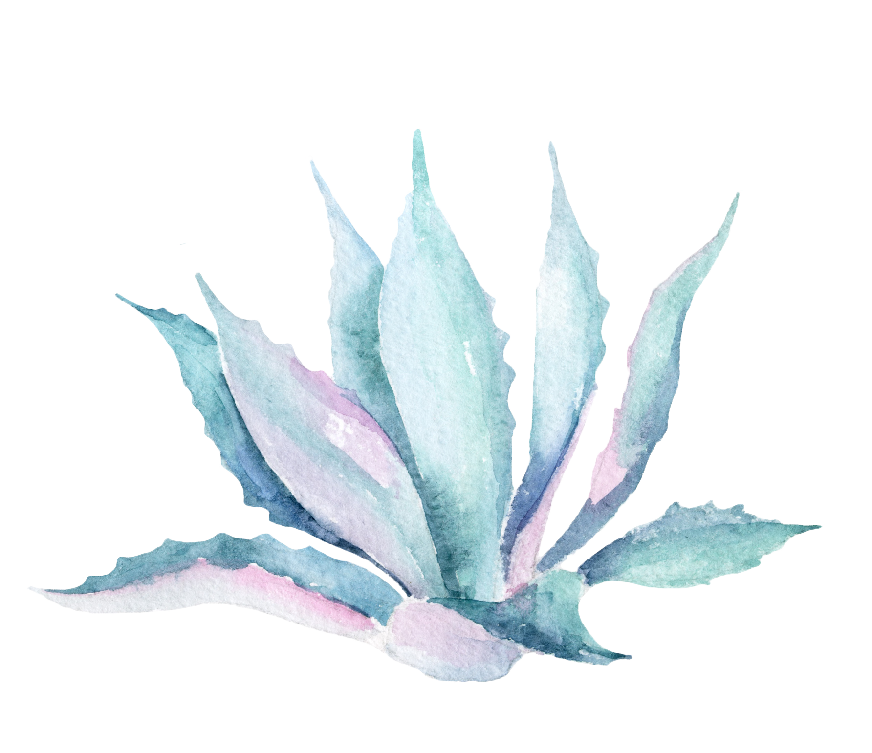 Watercolor Flower Background Clipart