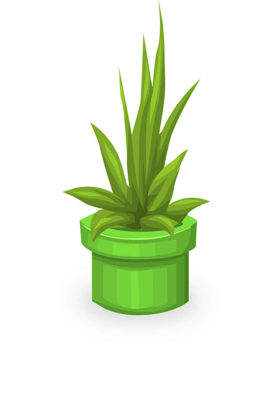 Bonsai Tree Clipart