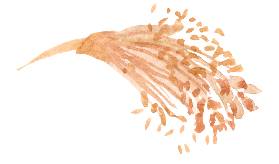 Watercolor Drawing Clipart
