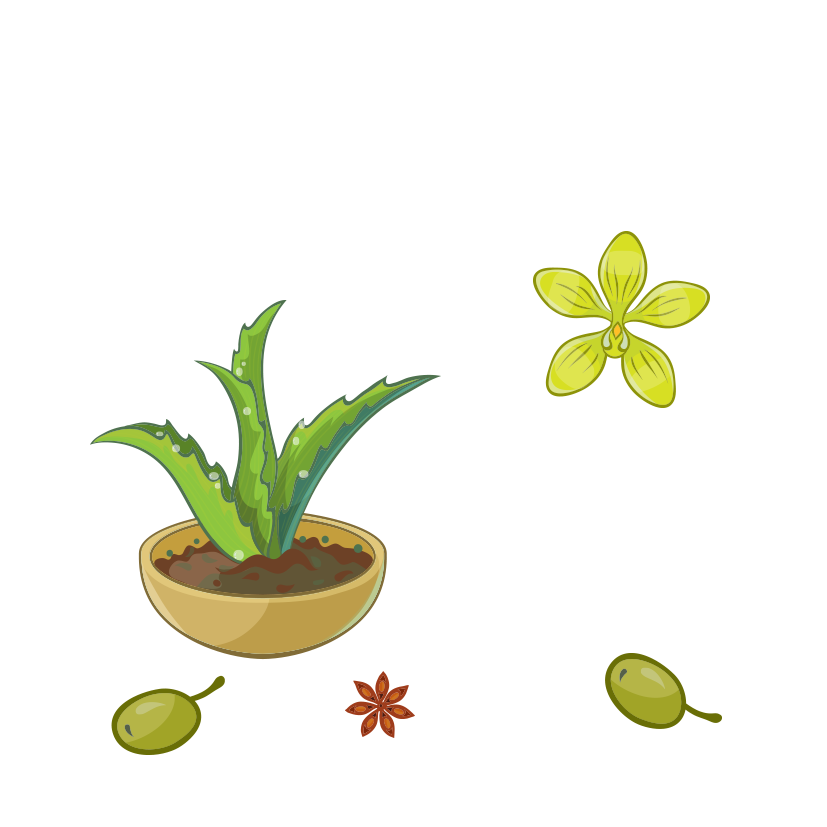 Aloe Vera Leaf Clipart