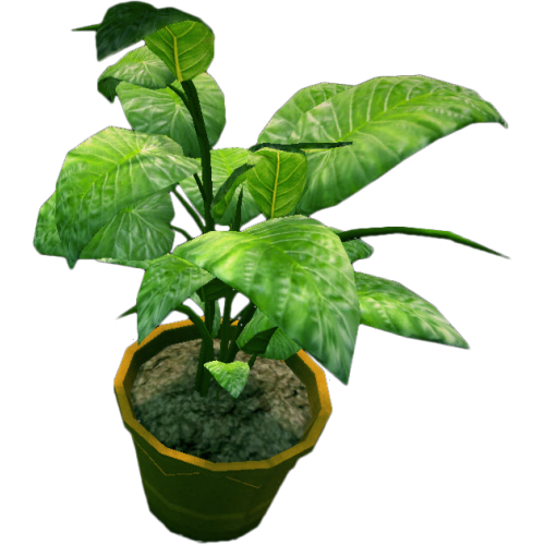Aloe Vera Leaf Clipart