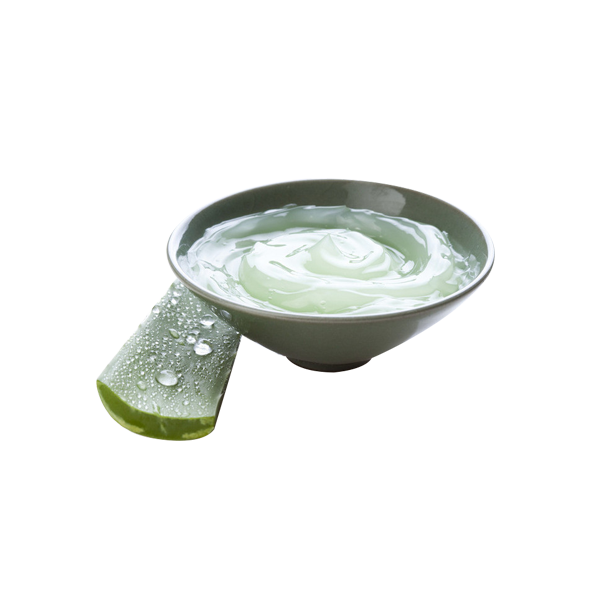 Aloe Vera Leaf Clipart