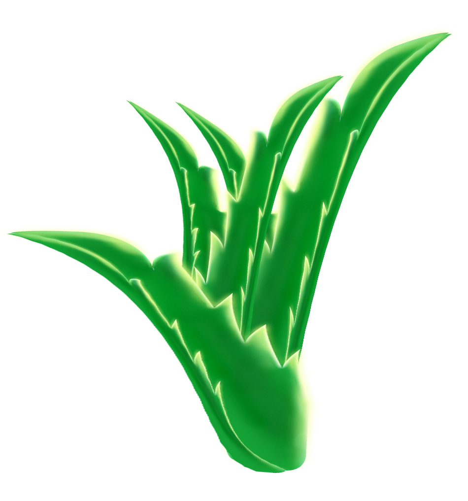 Aloe Vera Leaf Clipart