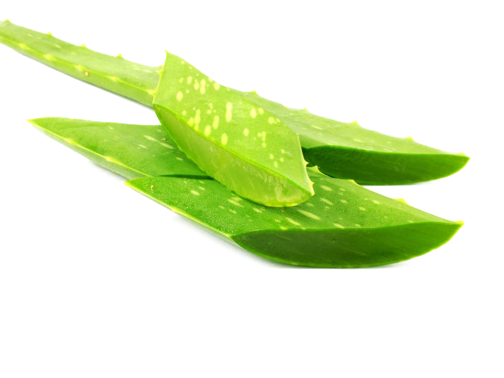 Green Leaf Background Clipart